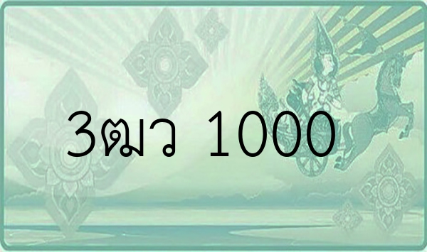 3ฒว 1000